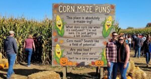 Corn Maze Puns